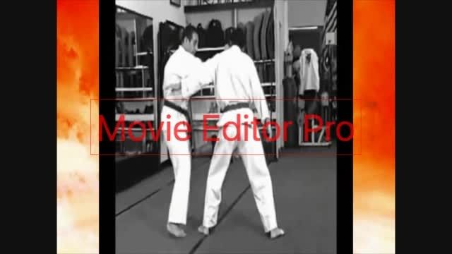 ایران شورینجی ریو کاراته#رزمیکاران اوکیناوا #کنپو