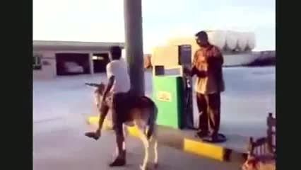 یک خر بسسیار عجیب درایران که با بنزین کار میکند