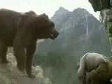 حمله ی خرس به انسان