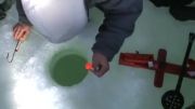 ماهی گیری در یخ