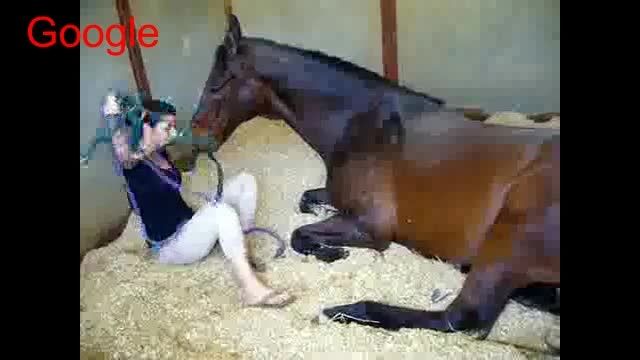 ابراز احساسات بین دختر و اسب