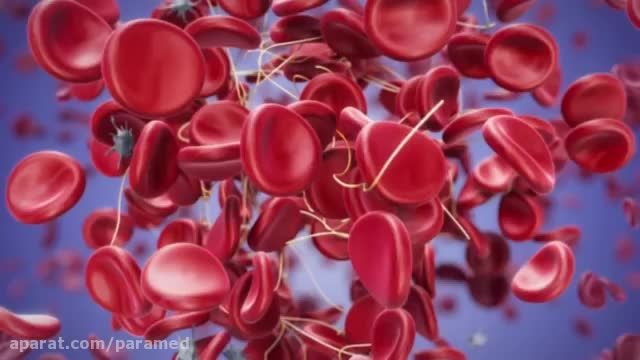 تشکیل لخته خون - فاکتور های انعقادی