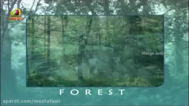 فیلم آموزشی درباره انواع جنگل برای کودکان(زبان انگلیسی)
