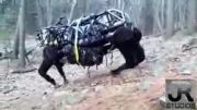 Boston Dynamics Robots