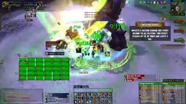 Brackenspore Highmaul normal and heroic guide