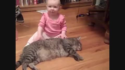 کشتی گرفتن دختربچه با گربه