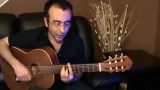 تن چوبی- کورش یغمایی Tane choobi Kourosh Yaghmaii Persian Song guitar