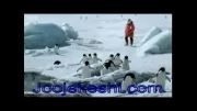 ویدیوی بسیار زیبای پنگوئن