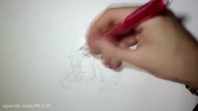 How to Draw a Wolf Pencil #drawing