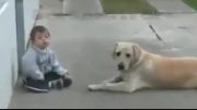 مواظبت یه سگ از پسر بچه ی عقب مونده. رها در خیابان