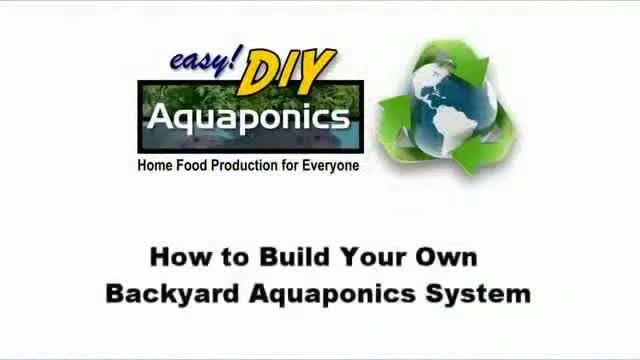 Aquaponics Garden (Cheap Hydroponics)