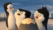 تیزر جدید فیلم The Penguins of Madagascar منتشر شد!