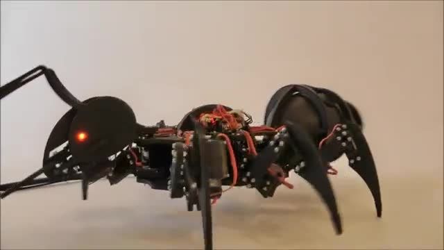 مورچه ربات (خیلی عجیبه)