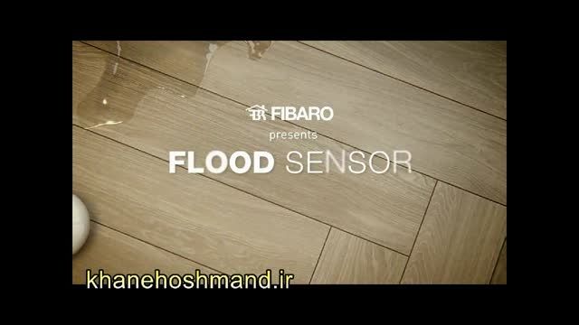 flood sensor