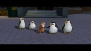 انیمیشن ماداگاسکار|Otter Things Happened(زبان اصلی)