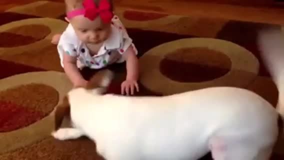 آموزش سگ ب بچه