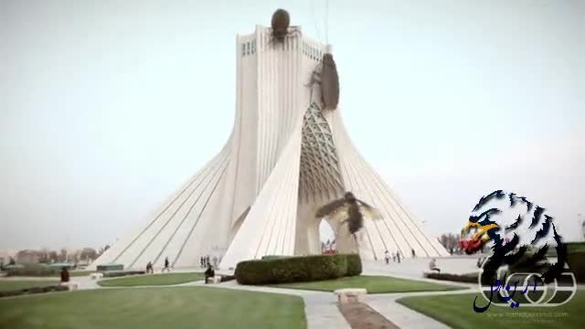 حمله سوسک ها به برج شهیاد آزادی