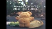 Teddy has accepted the #ALSIcebucketchallenge