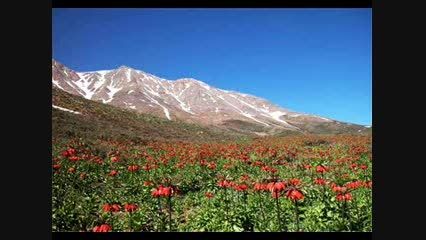 محسن احمدی ( آهنگ شاد با توشمال)