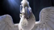 انیمیشن angry birds Rio|قسمتِ Nigel Mashup