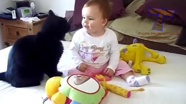 خنده دارترین ویدئو از دنیای گربه ها :)) HD