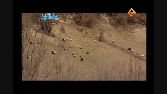 معرفی روستای چورت پخش شده از شبکه تبرستان - بخش دوم