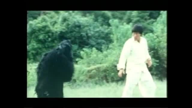 Bruce Lee vs El mono ninja