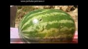 فیلم برداری اسلوموشن از اصابت گلوله به هندوانه