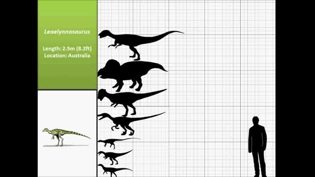 مقایسه ی برخی دایناسور ها با انسان