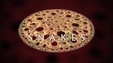 Snakes - 2006