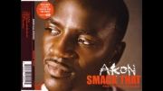 آهنگ بسیار زیبای (Smack That) از (Akon) به همراهی (Eminem)