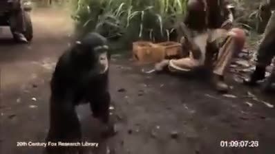 میمون مسلح و رگبار بستن سربازها