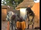 استرس زدایی در آفریقا (آخر خنده )
