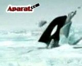 بلعیدن ماهیگیر توسط نهنگ در قطب