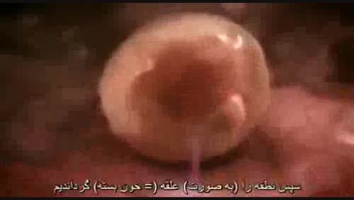 Creation of human embryos, according to the Quran