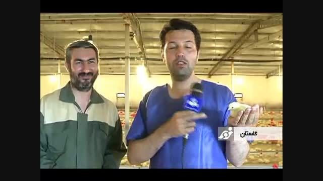 گزارش تولیدی واحد مرکز خبر استان گلستان در خصوص هورمون