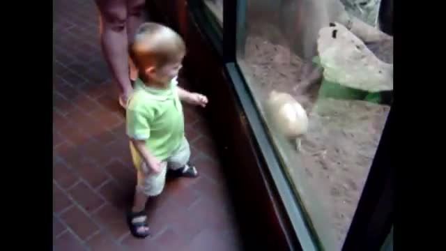 بچه ها در باغ وحش