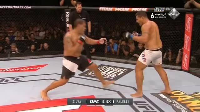 UFC 190 Bigfoot Silva vs  Palelei - Round 2
