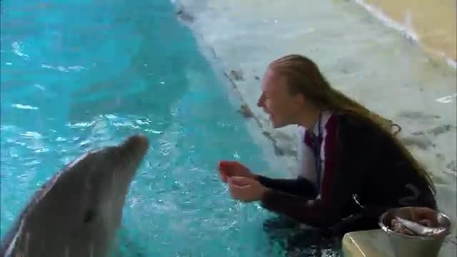 دلفین فوق العاده باهوش!