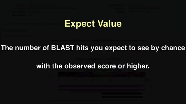 آموزش تفسیر نتایج BLAST: بخش اول تفسیر E-value