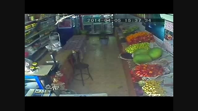 سرقت  طوطی کاسکو از مغازه در دزفول