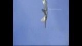 خودنمایی F-22 در آسمان