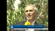 شرکت سپهر پارمیس-مصاحبه شبکه خبر با مهندس عین اللهی