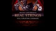 Real Strings - www.BaranBax.com