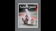 Tsubame Gaeshi - 65 Throws of Kodokan Judo