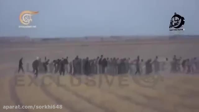 چند گله اسیر داعشی در صحرای الانبار عراق - سوریه