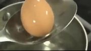 چگونه تخم مرغ را آب پز کنیم؟