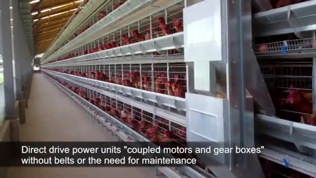 Alaso - Layer and Pullet Cage Systems