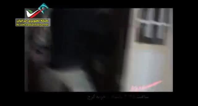 فیلم حمله نیروهای پلیس به کارگاه تولید شیشه در کرج
