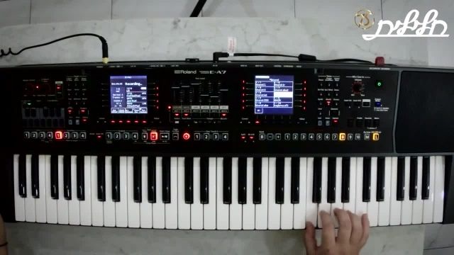 دموی شرقی شماره 3 Roland E-A7